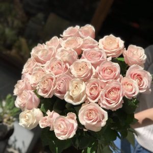 Bouquet roses couleurs roses