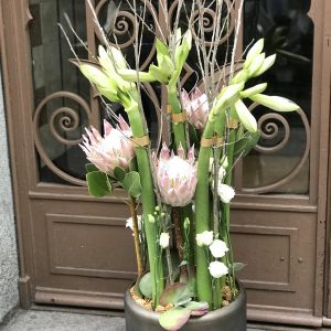 Arrangements en hauteur